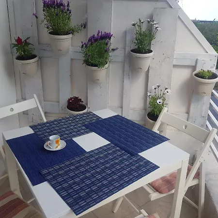 With Two Near The דירה